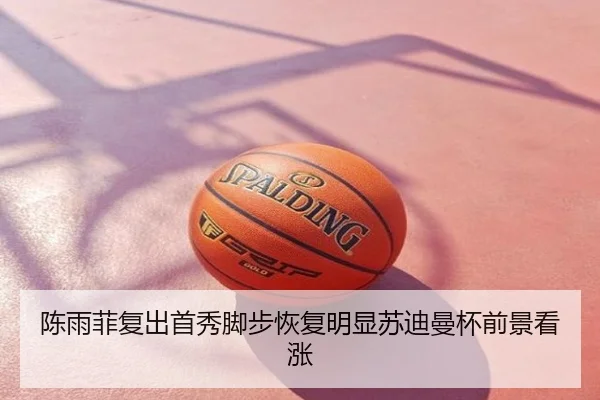 陈雨菲复出首秀脚步恢复明显苏迪曼杯前景看涨