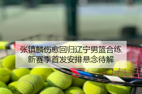 张镇麟伤愈回归辽宁男篮合练 新赛季首发安排悬念待解